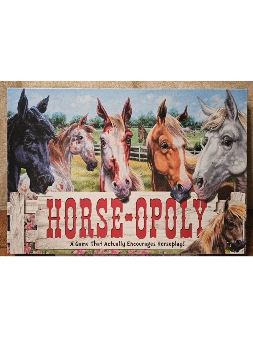 Horse-opoly Equestrian Themed Board Game ~ Monopoly Game With Horses ~ Complete